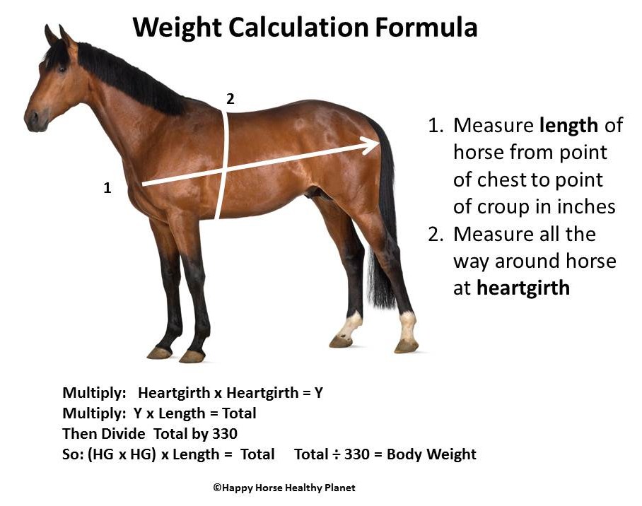 Horse Weight Chart Healthy