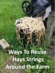 Hay Strings